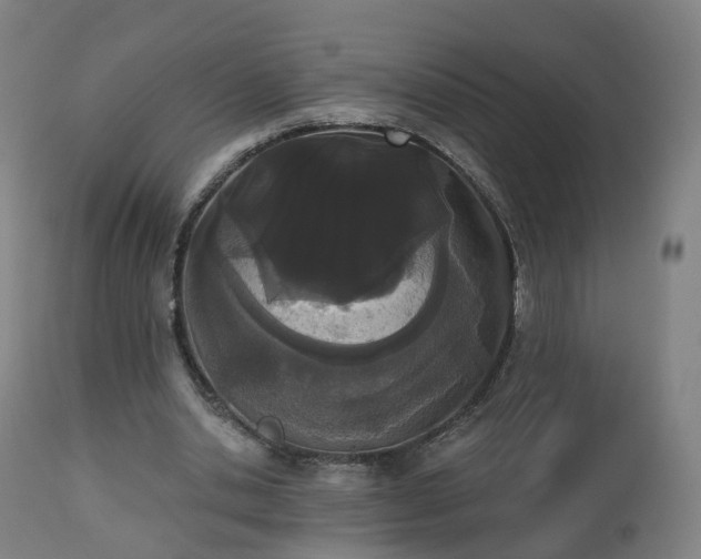 X0000112500438200908241353