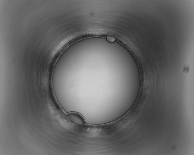 X0000112500440200908241353