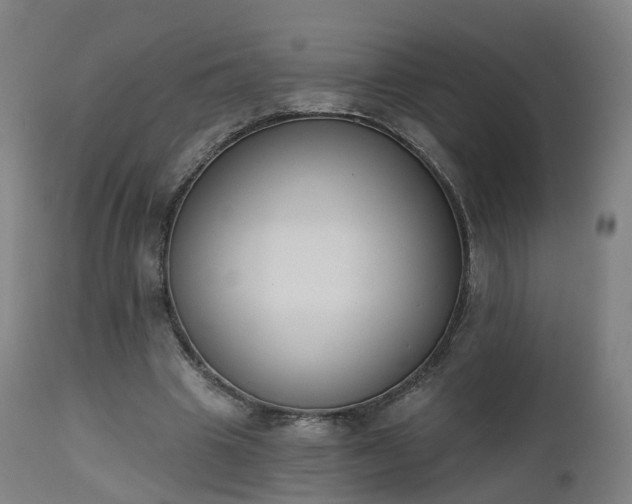 X0000112500441200908241353