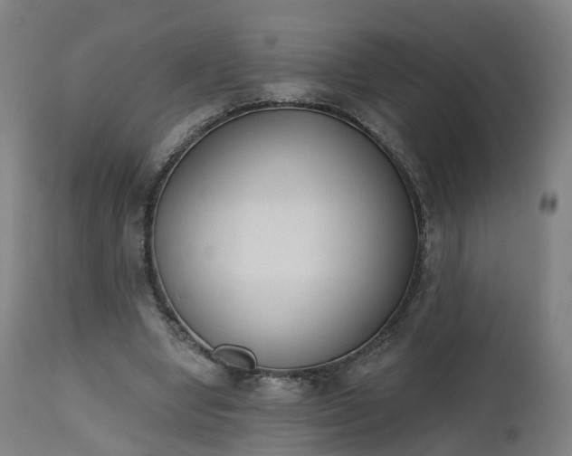 X0000112500442200908241353