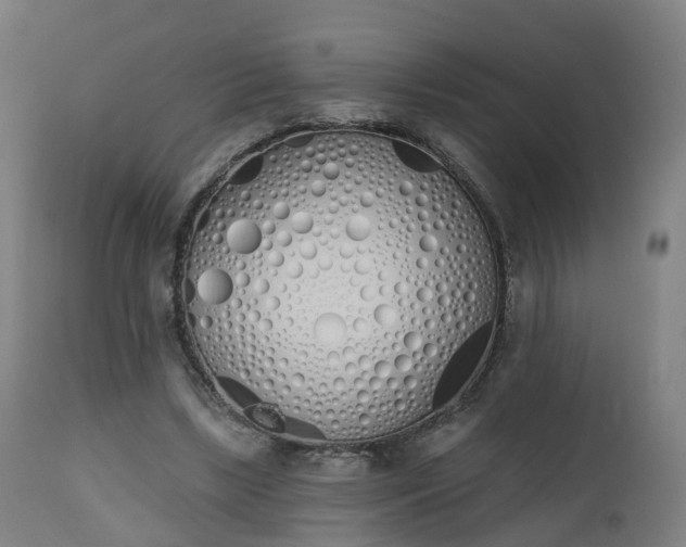 X0000112500443200908241353