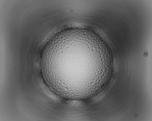 X0000112500449200908241353