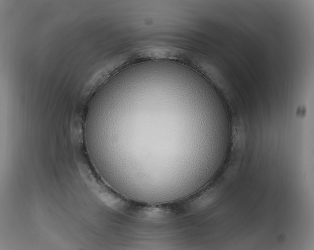 X0000112500453200908241353