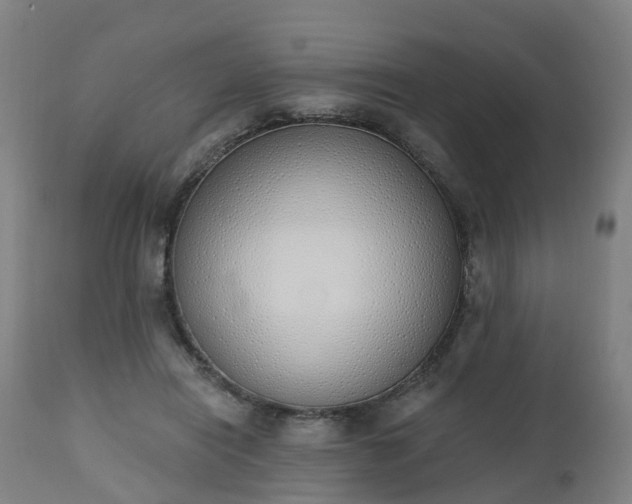 X0000112500454200908241353