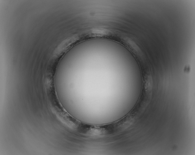 X0000112500455200908241353