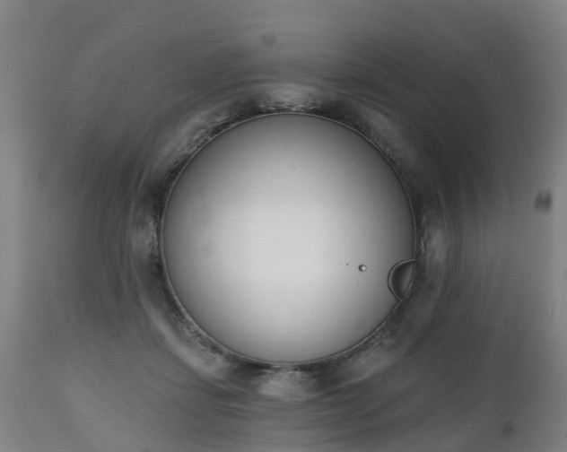 X0000112500459200908241353