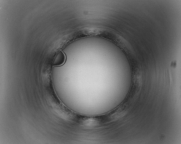 X0000112500460200908241353