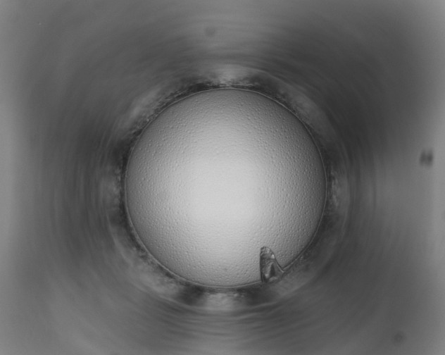 X0000112500461200908241353