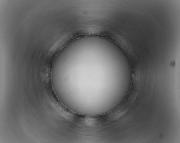 X0000112500462200908241353