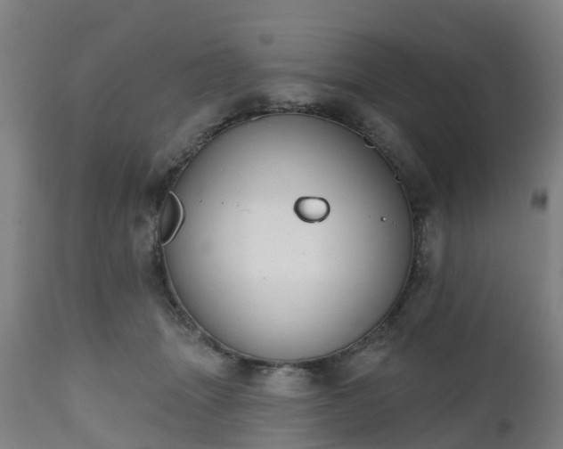 X0000112500463200908241353