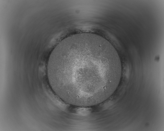 X0000112500465200908241353