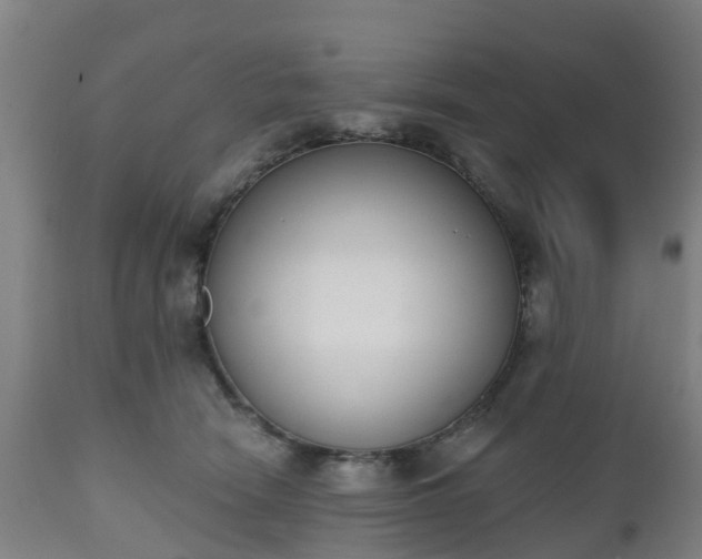 X0000112500466200908241353