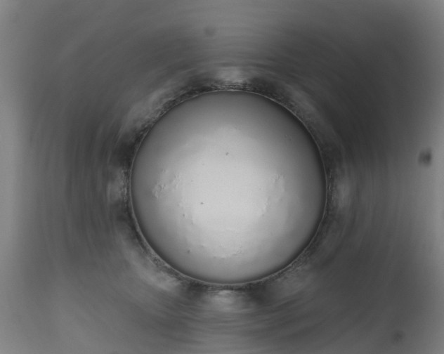 X0000112500467200908241353