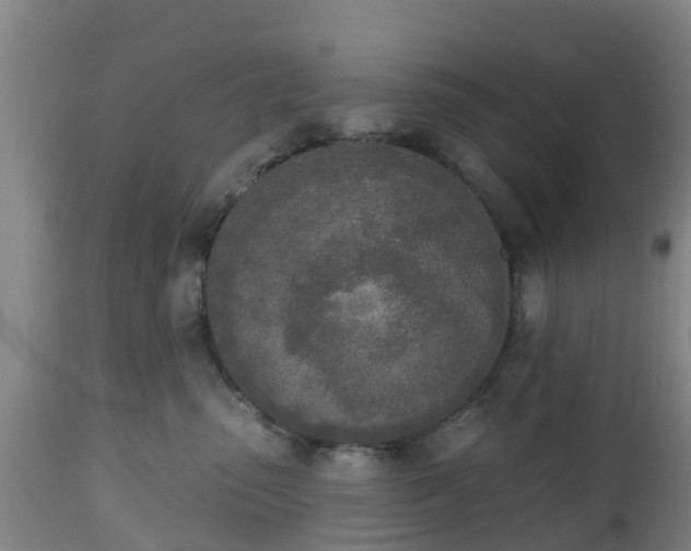 X0000112500475200908241354