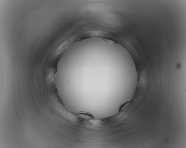 X0000112500478200908241354