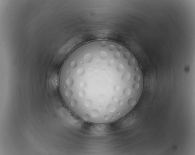 X0000112500479200908241354