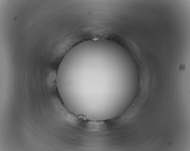 X0000112500480200908241354