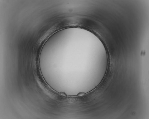 X0000112500482200908241353