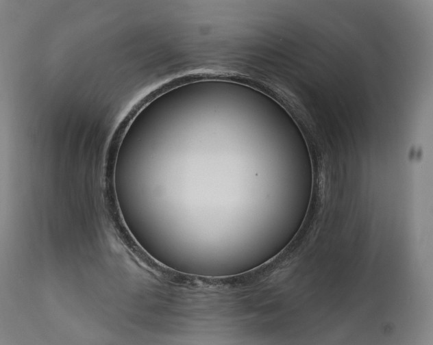 X0000112500484200908241353