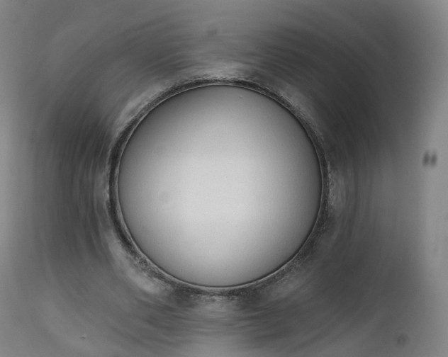 X0000112500486200908241353