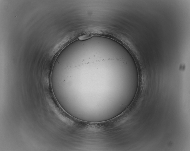 X0000112500489200908241353