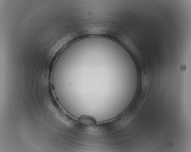 X0000112500490200908241353