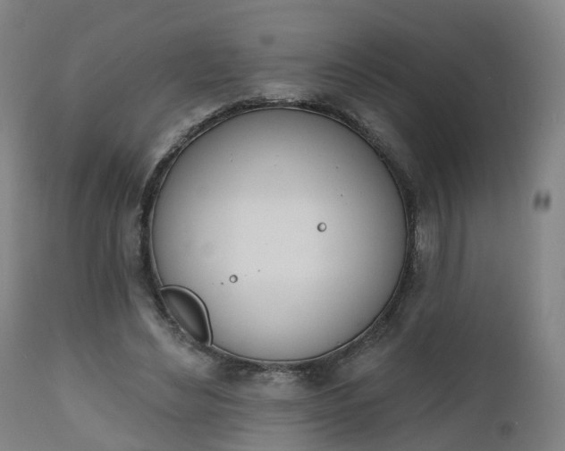 X0000112500492200908241353