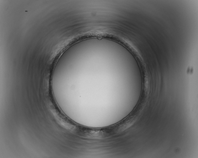 X0000112500493200908241353