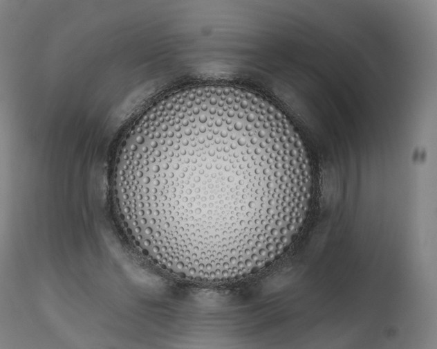 X0000112500494200908241353