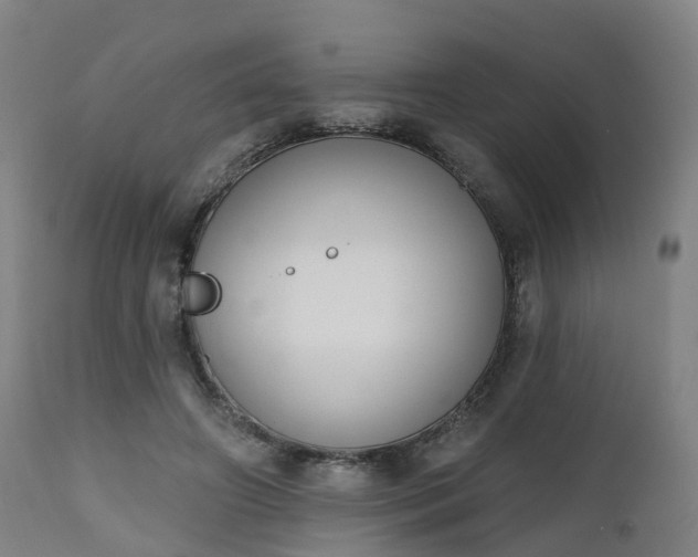 X0000112500498200908241352