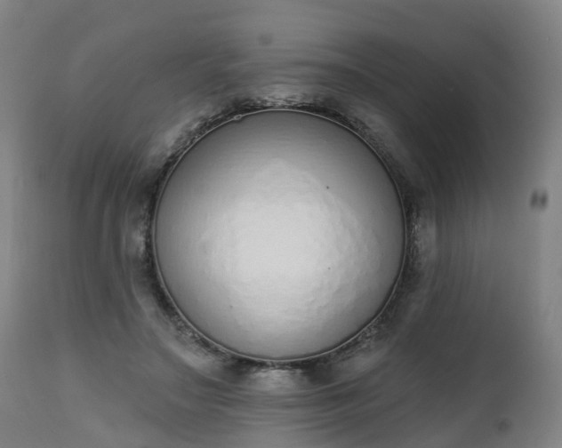 X0000112500499200908241352