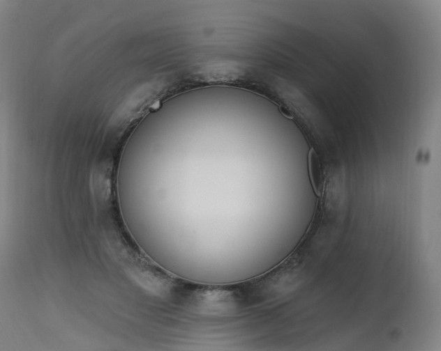 X0000112500501200908241352