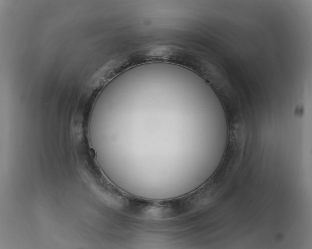 X0000112500504200908241352