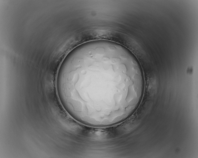 X0000112500506200908241352