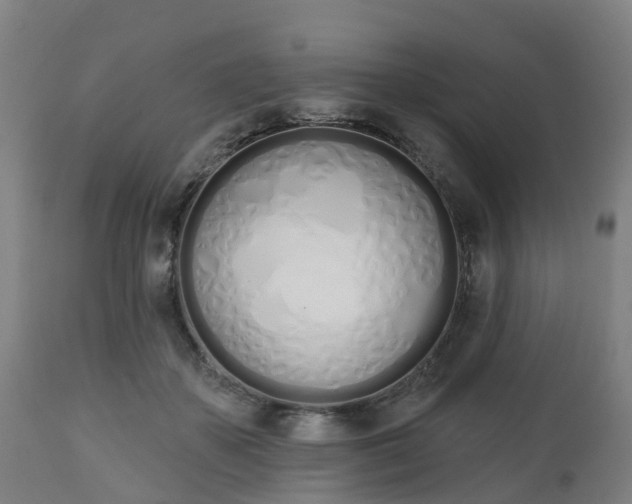 X0000112500507200908241352