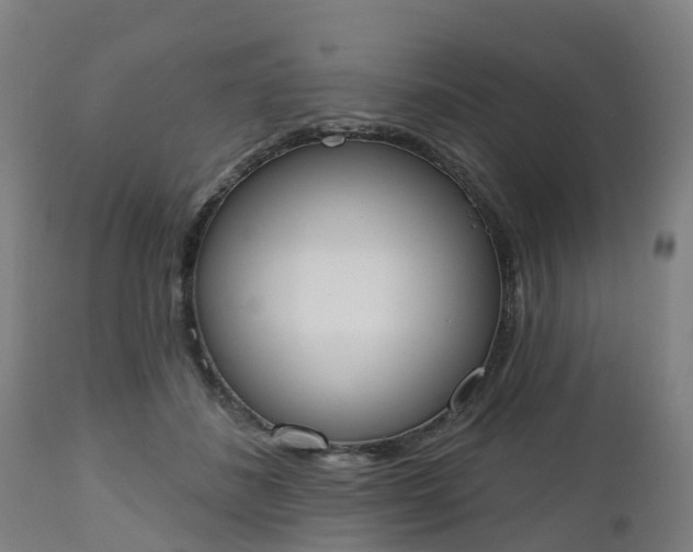 X0000112500508200908241352