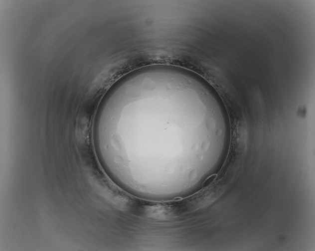 X0000112500511200908241352