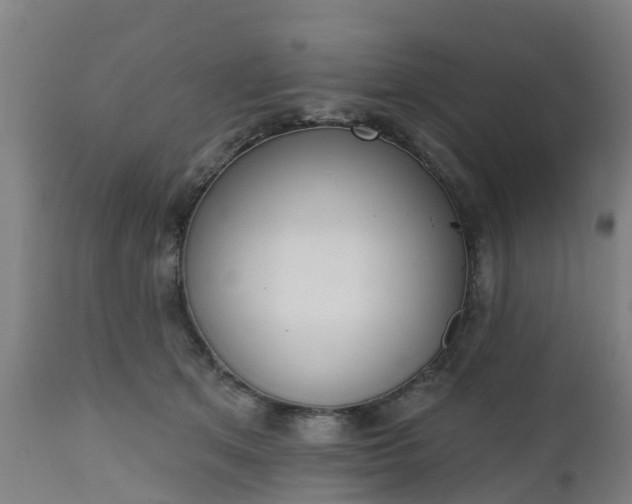 X0000112500513200908241352