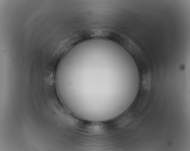 X0000112500514200908241352