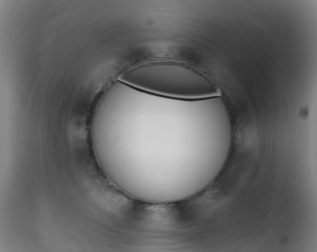 X0000112500516200908241352