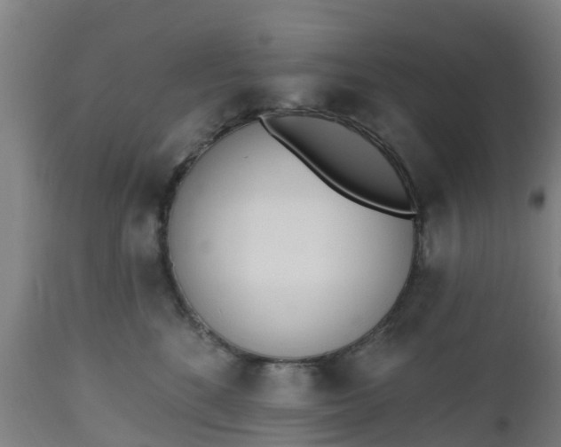 X0000112500520200908241352