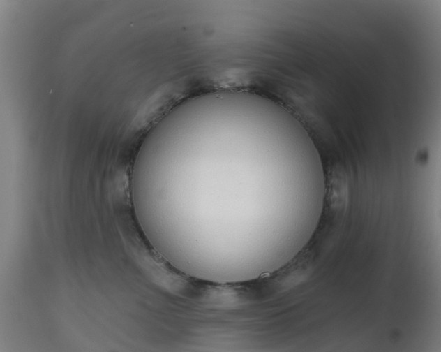 X0000112500523200908241352