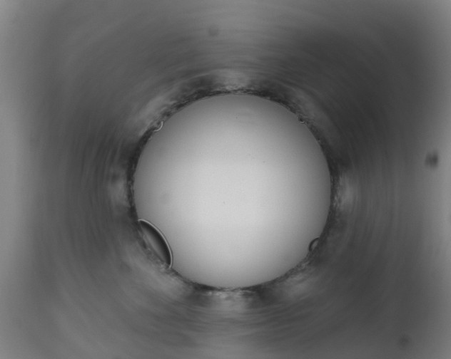 X0000112500524200908241352