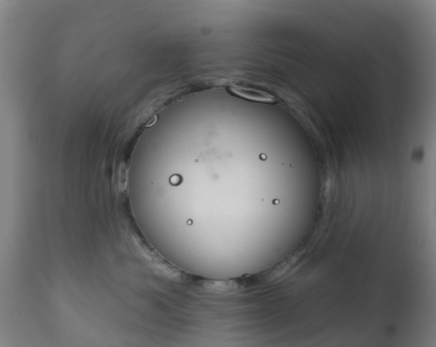 X0000112500525200908241352