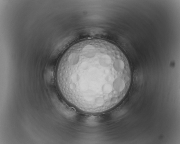 X0000112500527200908241352