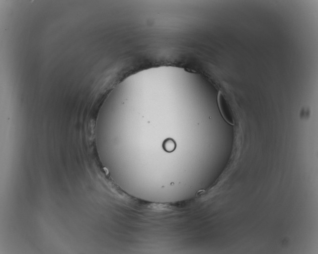 X0000112500528200908241352