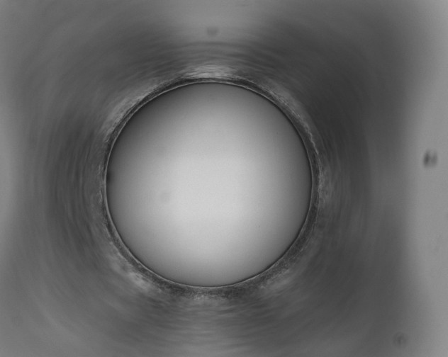 X0000112500529200908241351