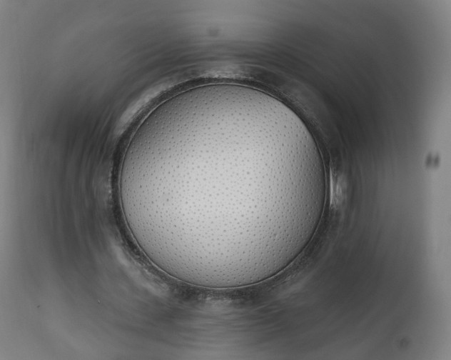 X0000112500531200908241351