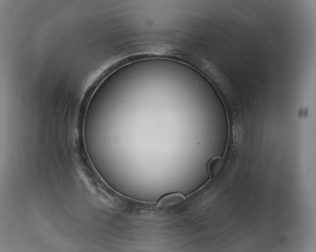 X0000112500532200908241351