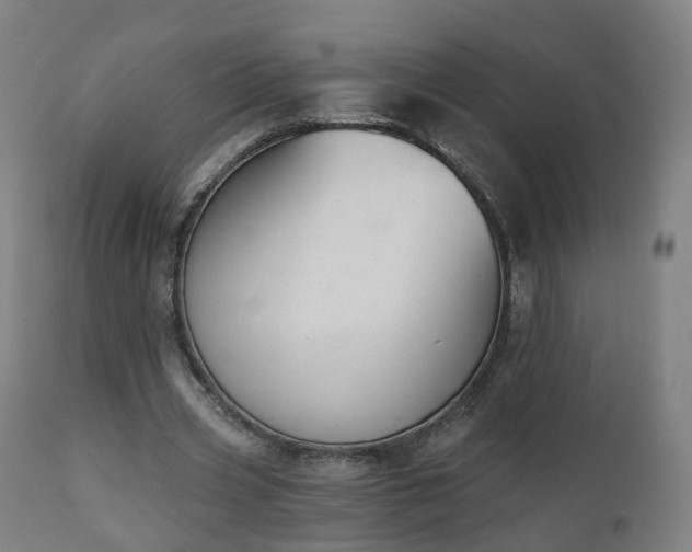 X0000112500533200908241351